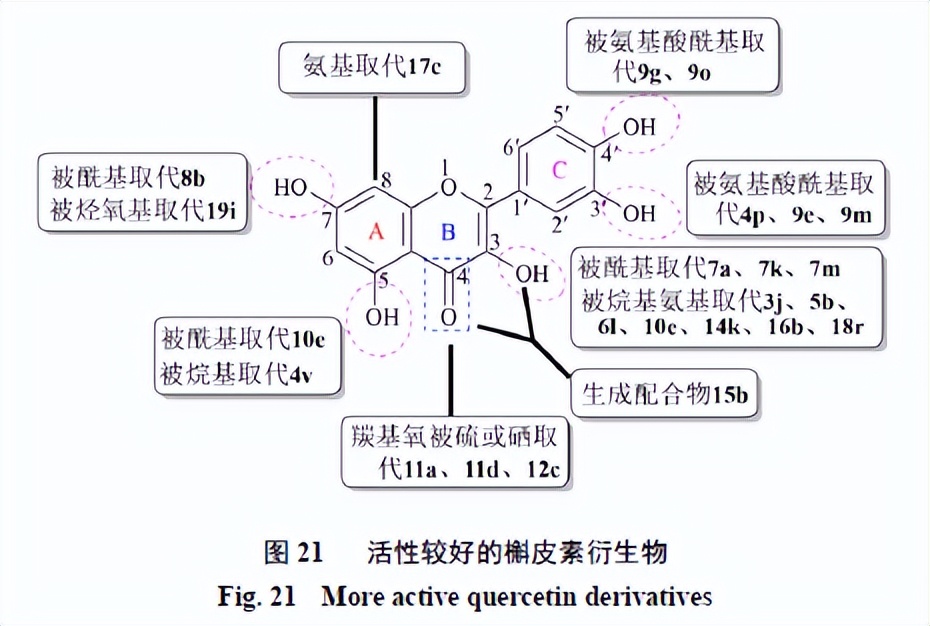 槲皮素的氧化机理,槲皮素的有关药物活性成分