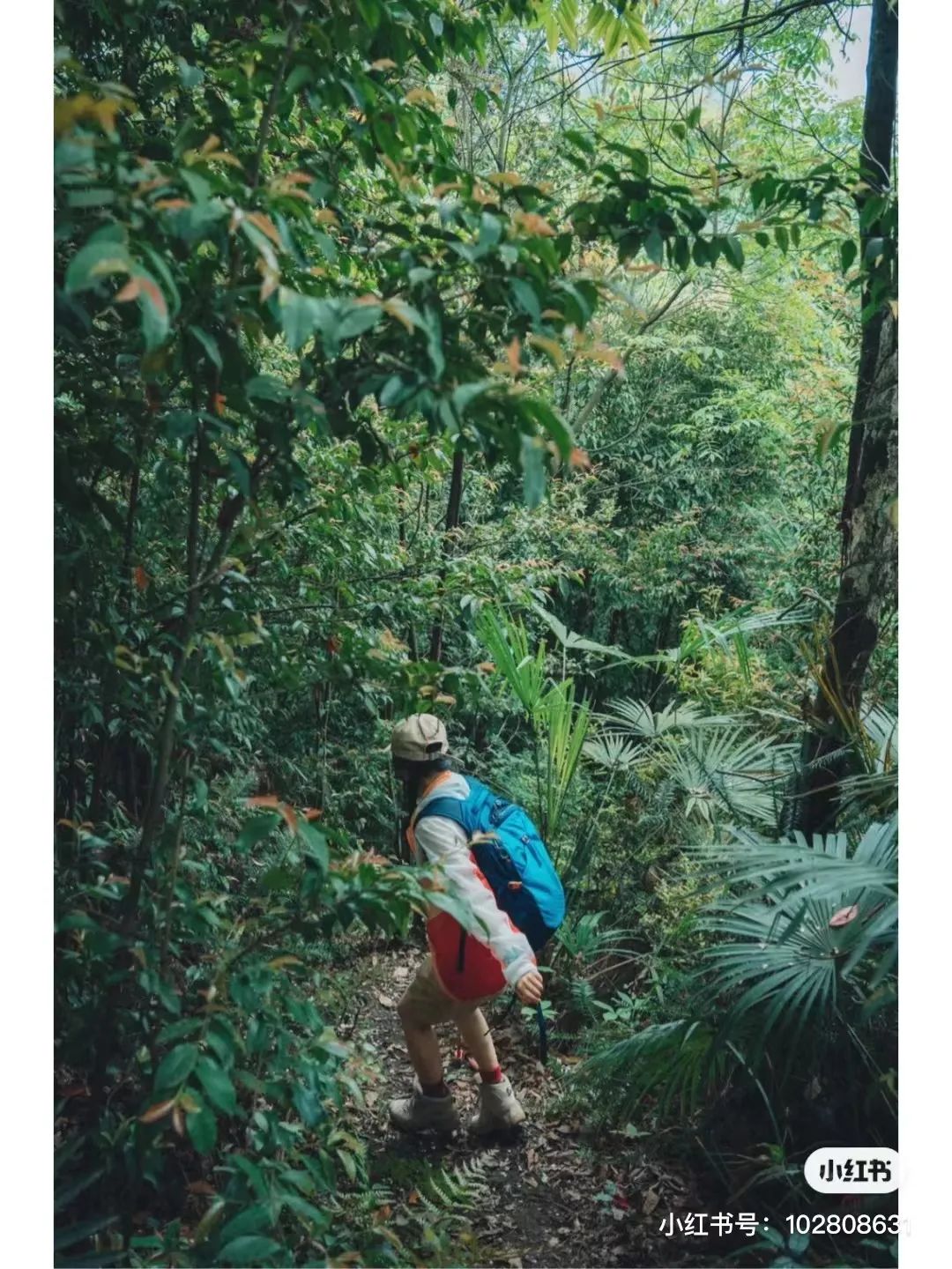 成都周边两天徒步推荐,成都周边徒步耍水一日游