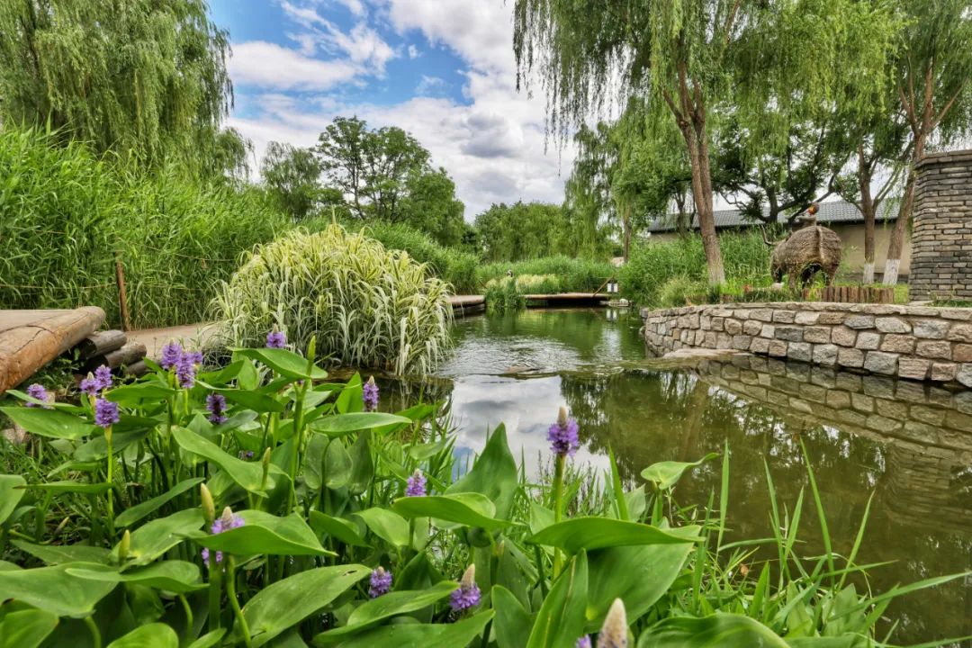 蓝天净土碧水,蓝天碧水净土昆明
