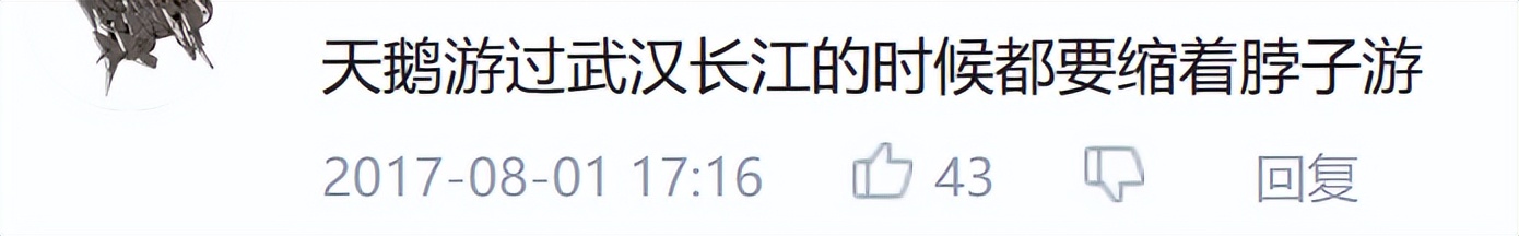 零食界三大奢侈品,零食界的爱马仕是什么