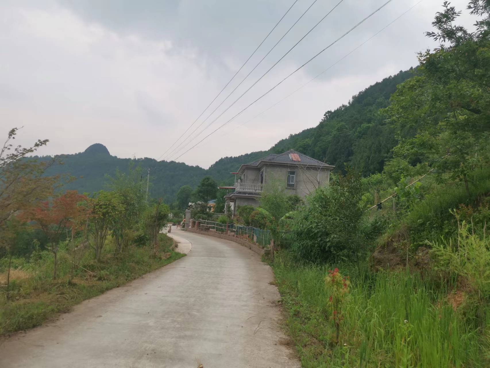 大风跑过〖亦然选粹.长篇抢读.11〗