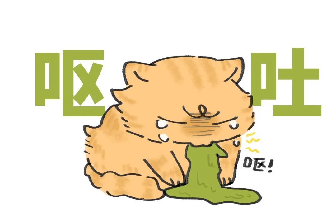 养猫的烦恼家里面好多猫毛怎么办,养猫烦恼