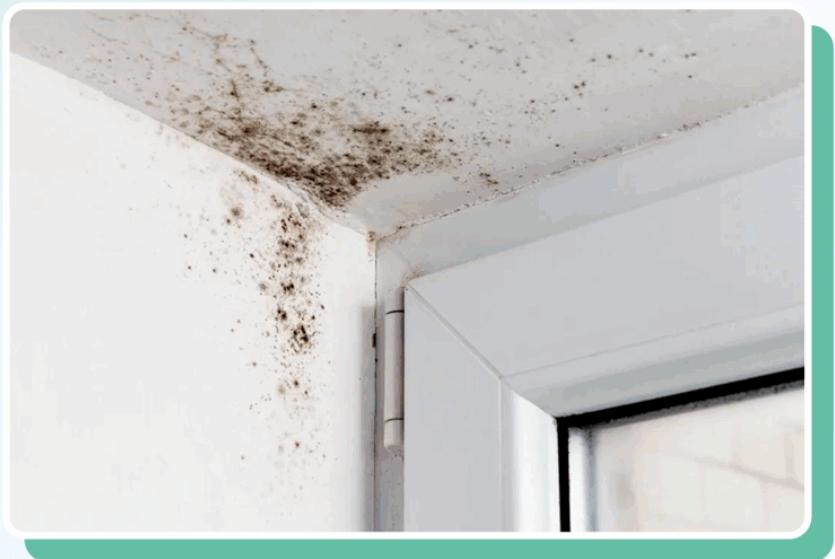 冷空气神出鬼没，海信中央空调助你轻松击退回南天