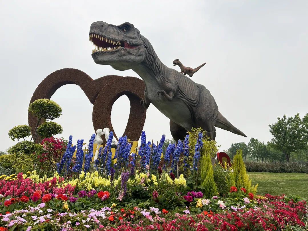 假日模式去哪里玩,假日旅游模式开启