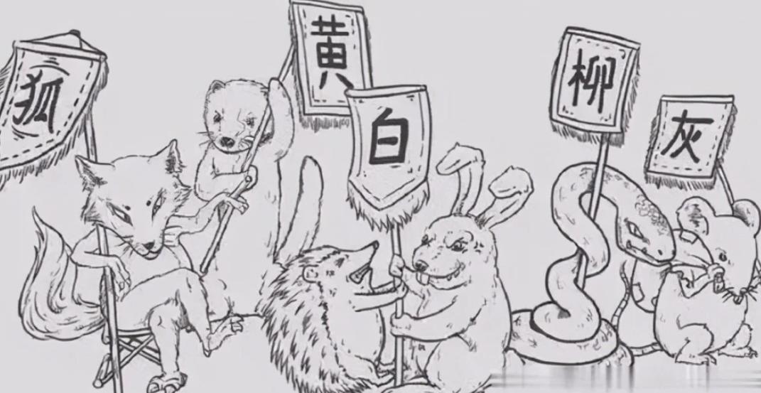 湖北一钓友常被黄鼠狼“打劫”,钓鱼佬被抢劫