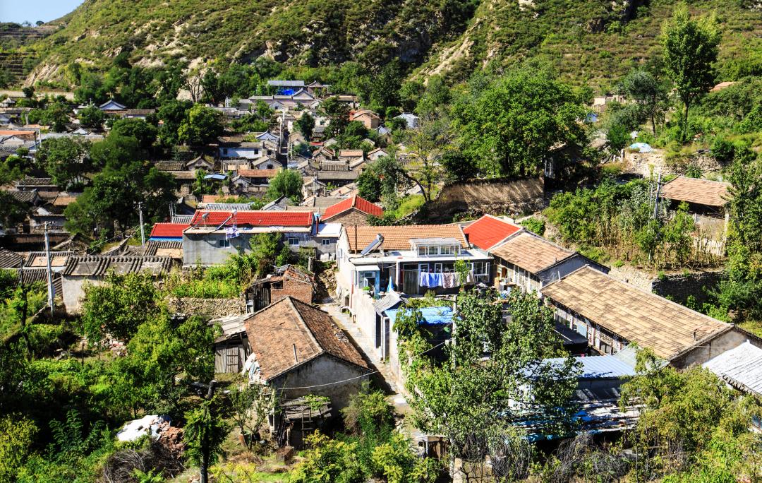 别小看乡村“大脚超市”，一天营业额3000，京东、华冠纷纷入局