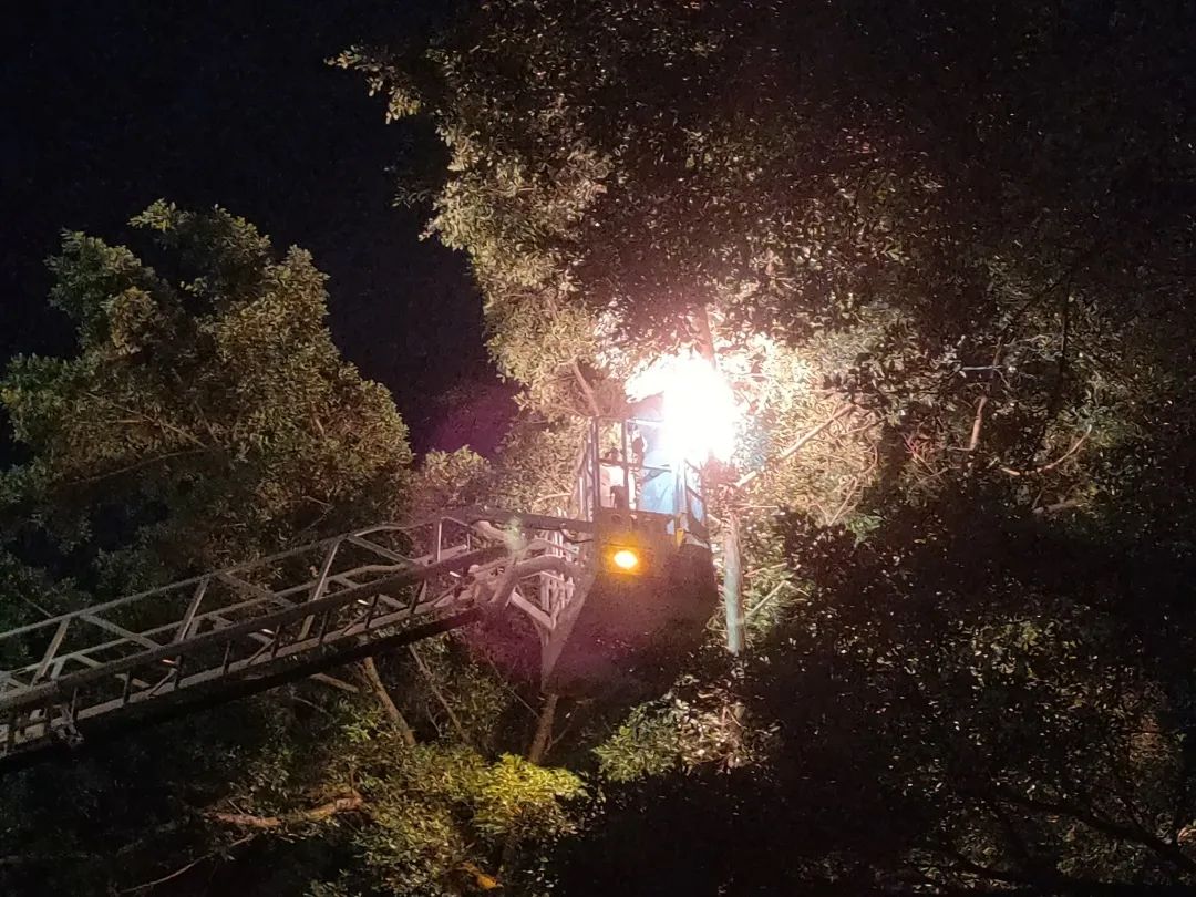 钦州迎来高“蜂”期!蓝朋友2个月摘了181个马蜂窝!