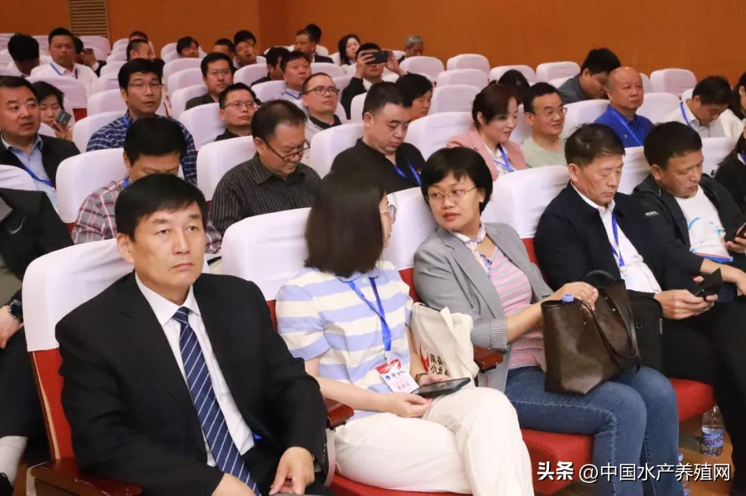 2023年南县小龙虾价格行情,南县小龙虾价格报价