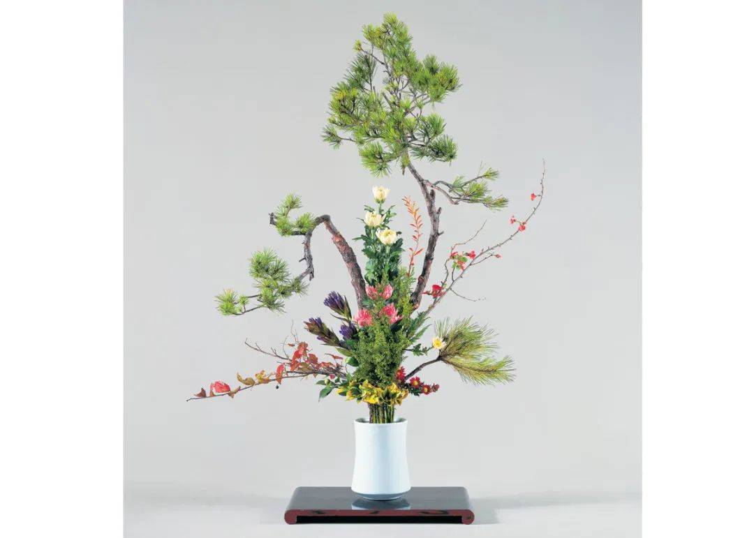 日式插花小原流花道,日式插花的13个基本技巧