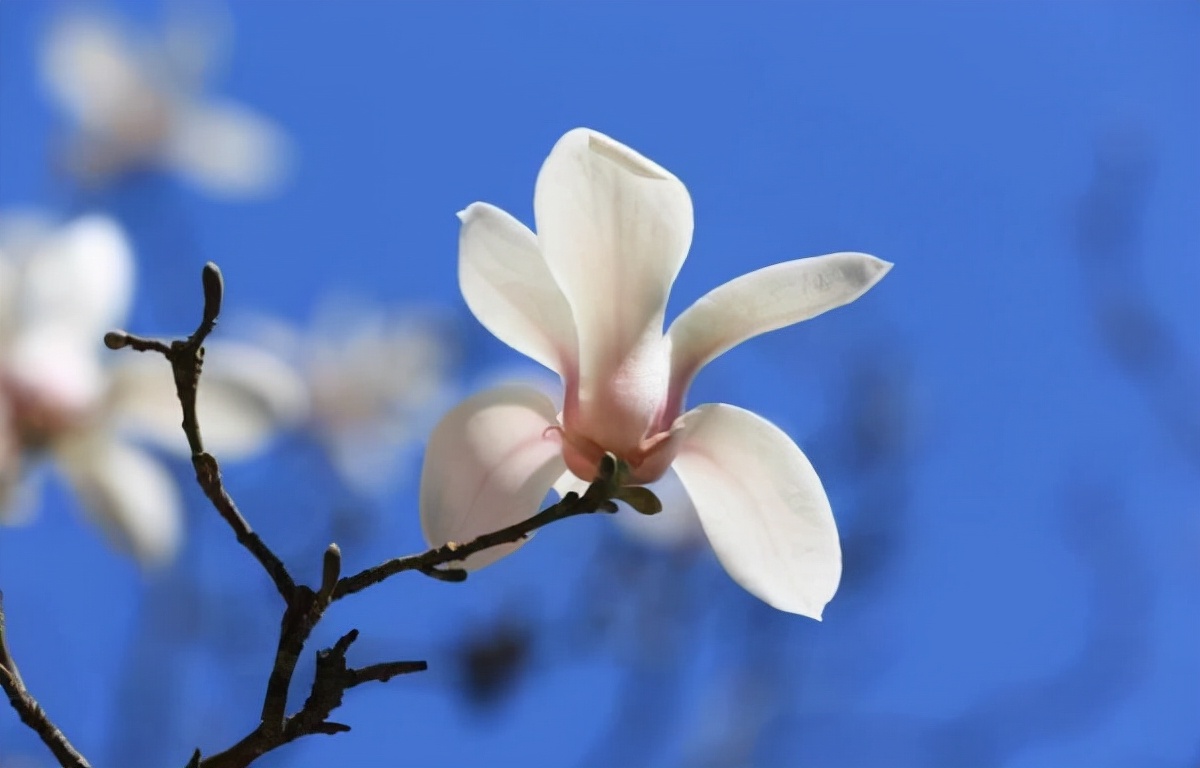 征服男人最好的四个方式,征服男人的最好方式