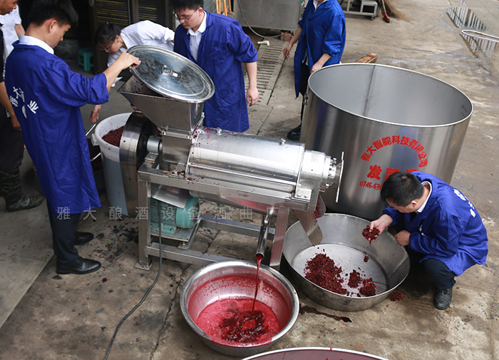酒厂桑葚酒酿造工艺流程,山江酒业酿酒设备生产和技术培训