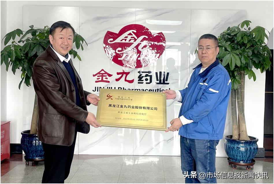 凝心聚力为乡村振兴护航,凝心聚力强化党建引领