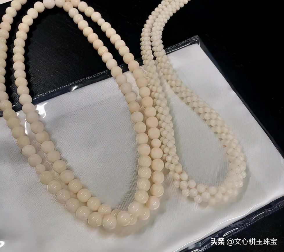 红色珊瑚石,红色黄金榕