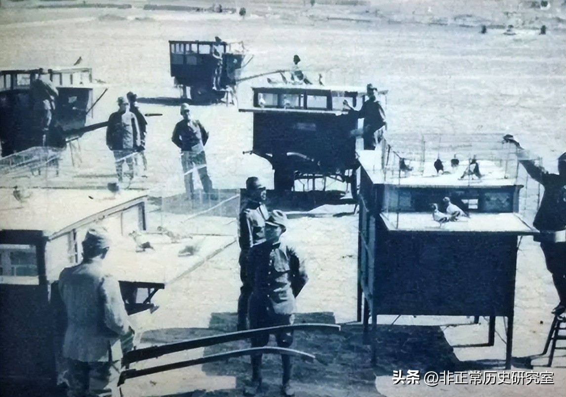 二战军队伙食纪录片,二战德军军犬伙食