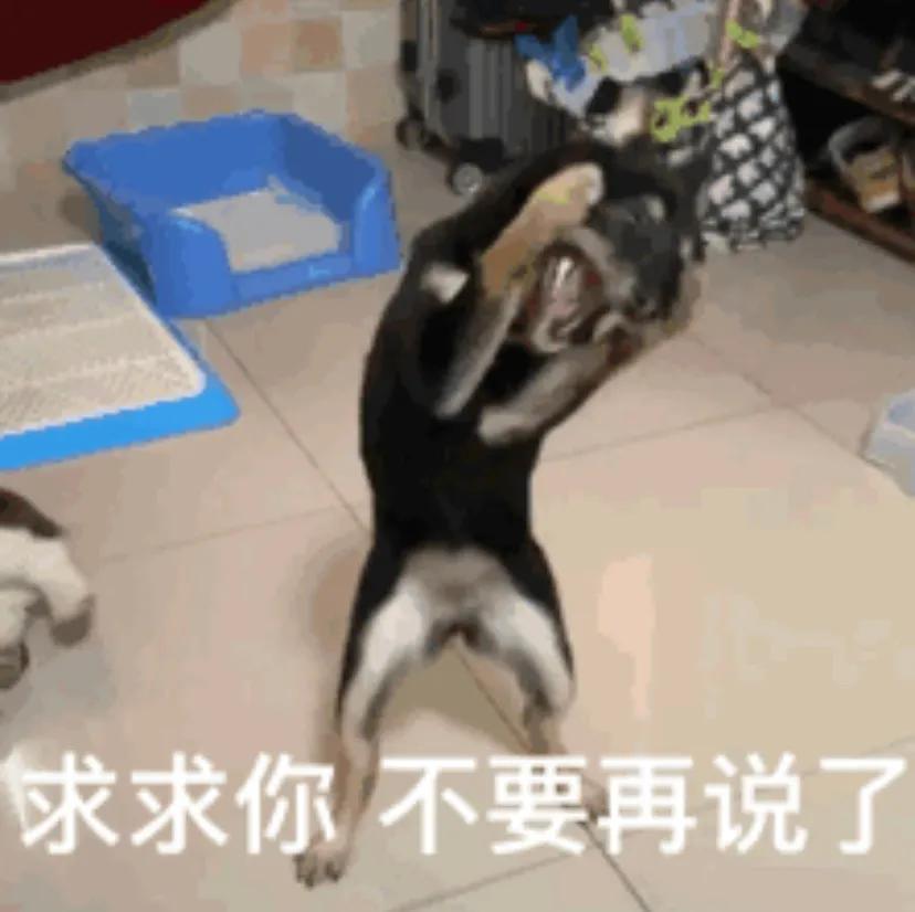 表情包我也不想这么可爱啊,表情包我能怎么办