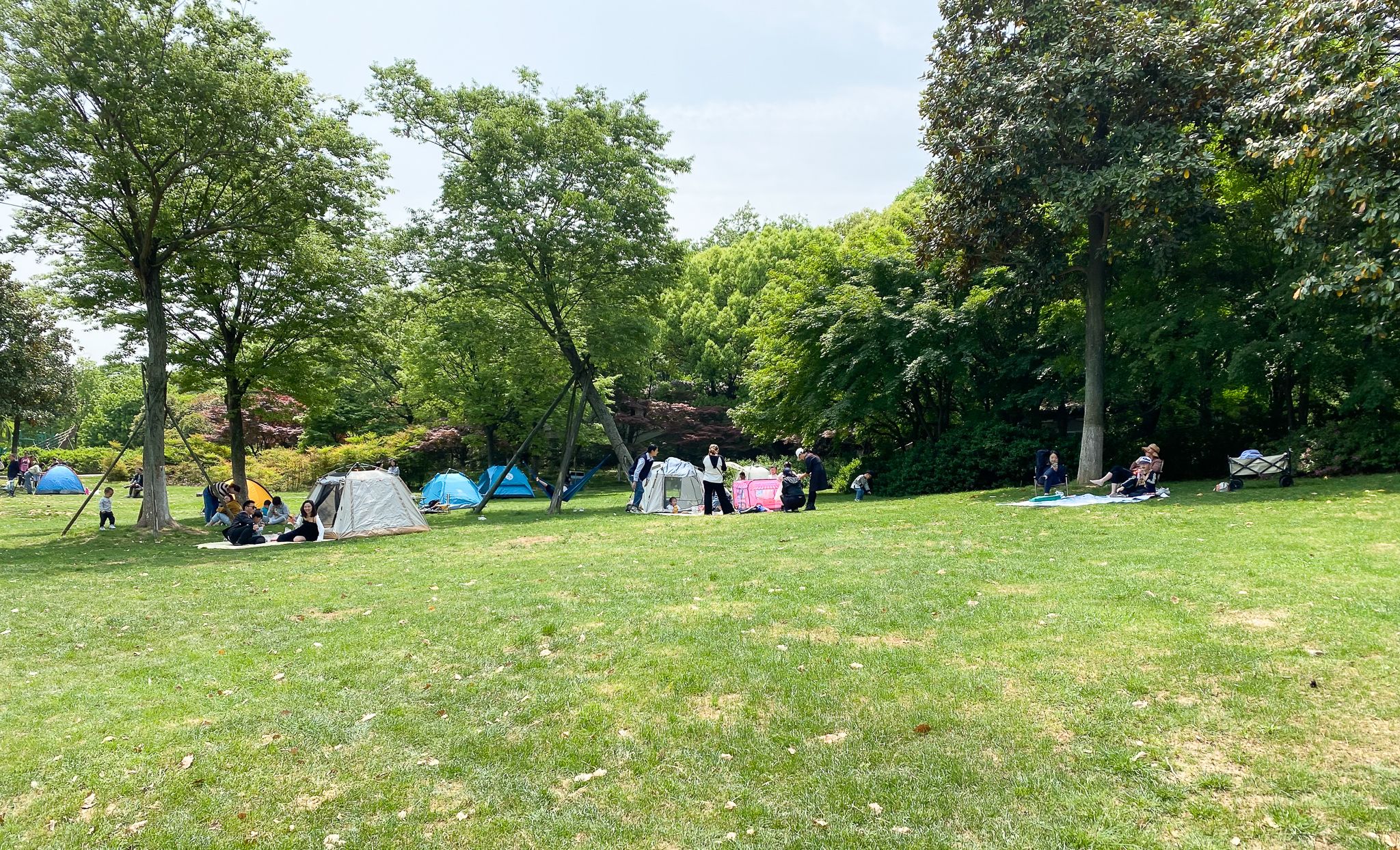 让别人羡慕，夏日野外露营不再闷热，我用上了移动户外便携空调
