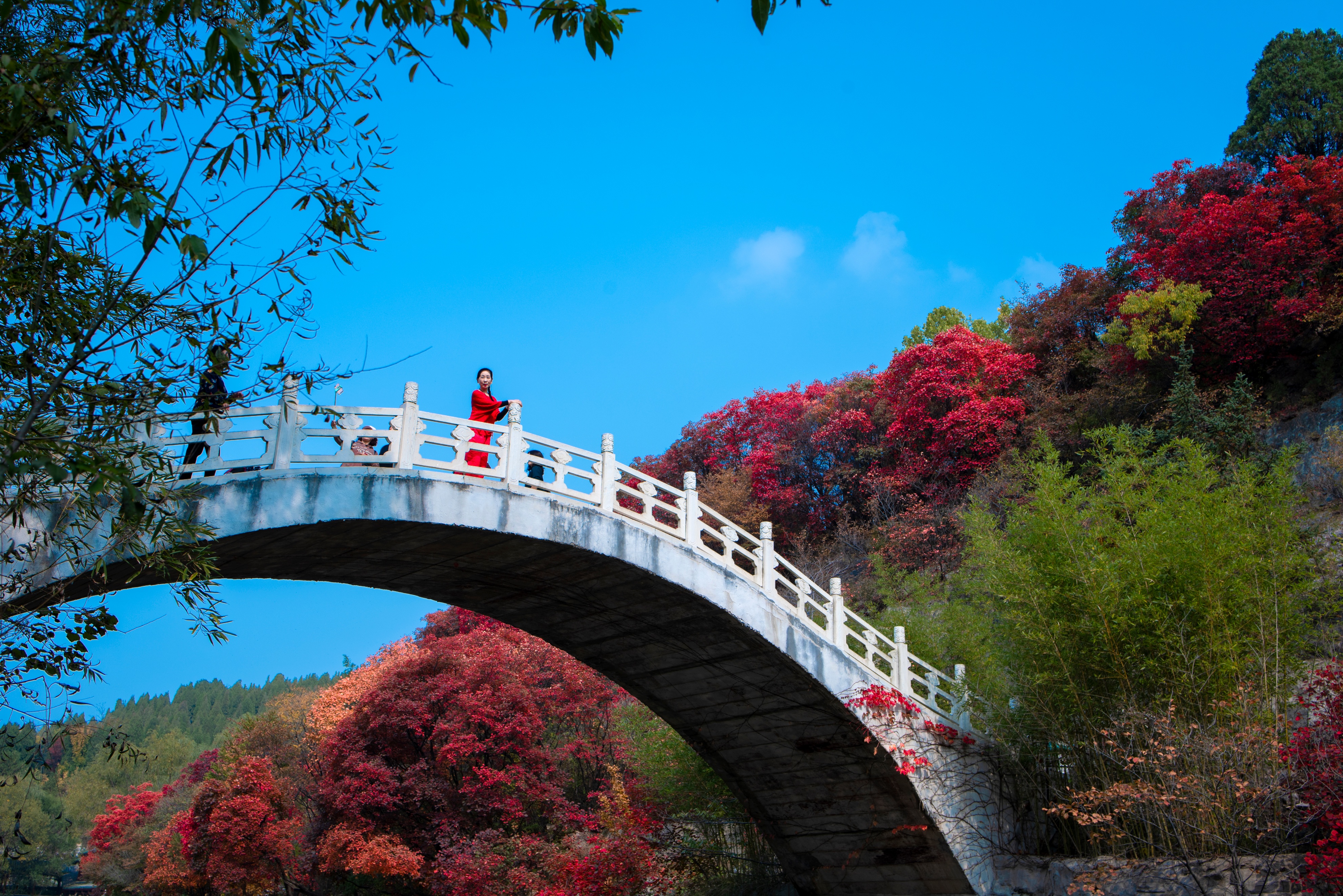 济南赏秋全攻略,秋天济南去哪里赏秋最好