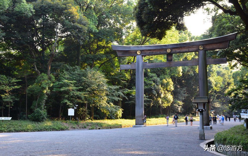 5天4晚东京之行day2,五天四夜日本