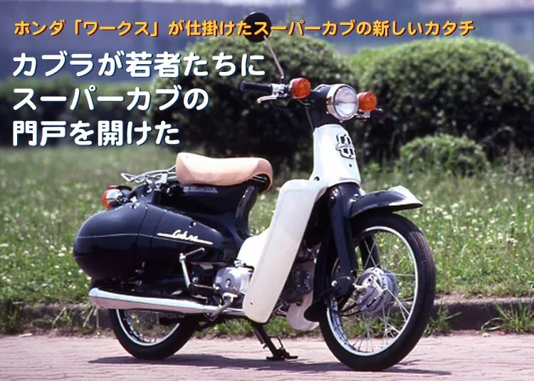 二轮考古学-本田幼兽编年史合集（1952-今）