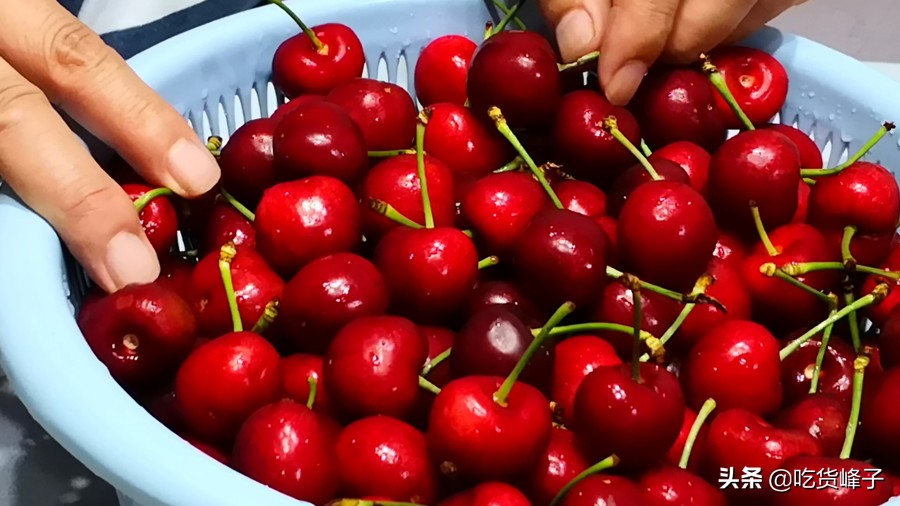 车厘子和大樱桃叶子区分,车厘子和樱桃分不清