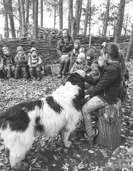 儿童青少年道德发展和道德教育,当代青少年道德教育的多维探索