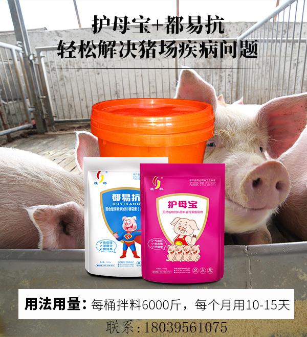 母猪保健与母猪净化的区别,母猪最佳药物保健方案