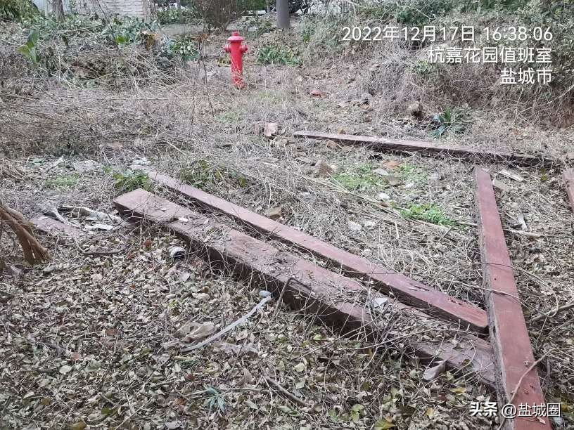 业主控诉小区脏乱,无人管理的小区脏乱差