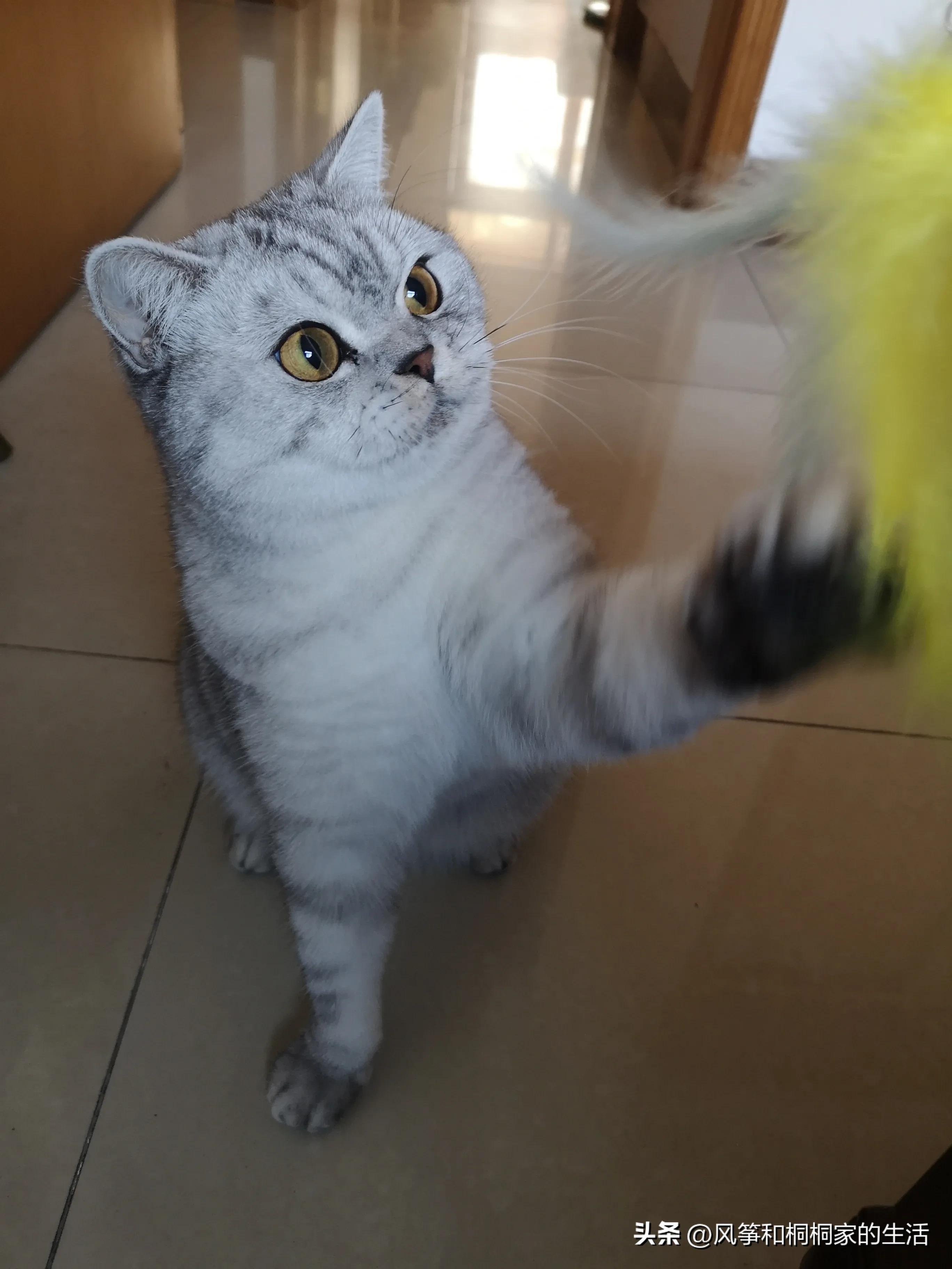 双11快递取消了吗,明明已经放开了为什么又不开心了