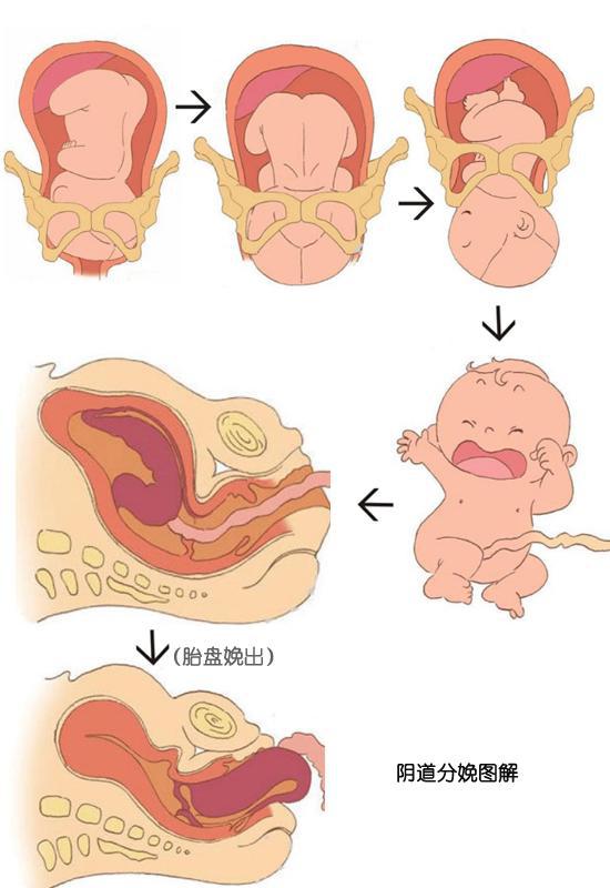 小伙体验生孩子疼痛30级,男人被女友逼生孩子