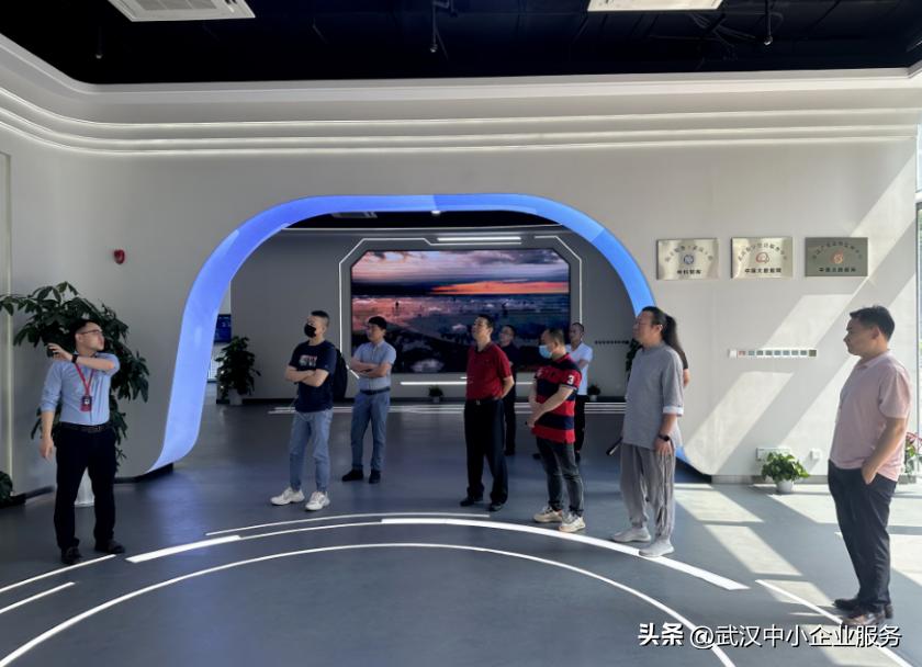 武汉市创业天使名单,武汉创业天使导师团团长