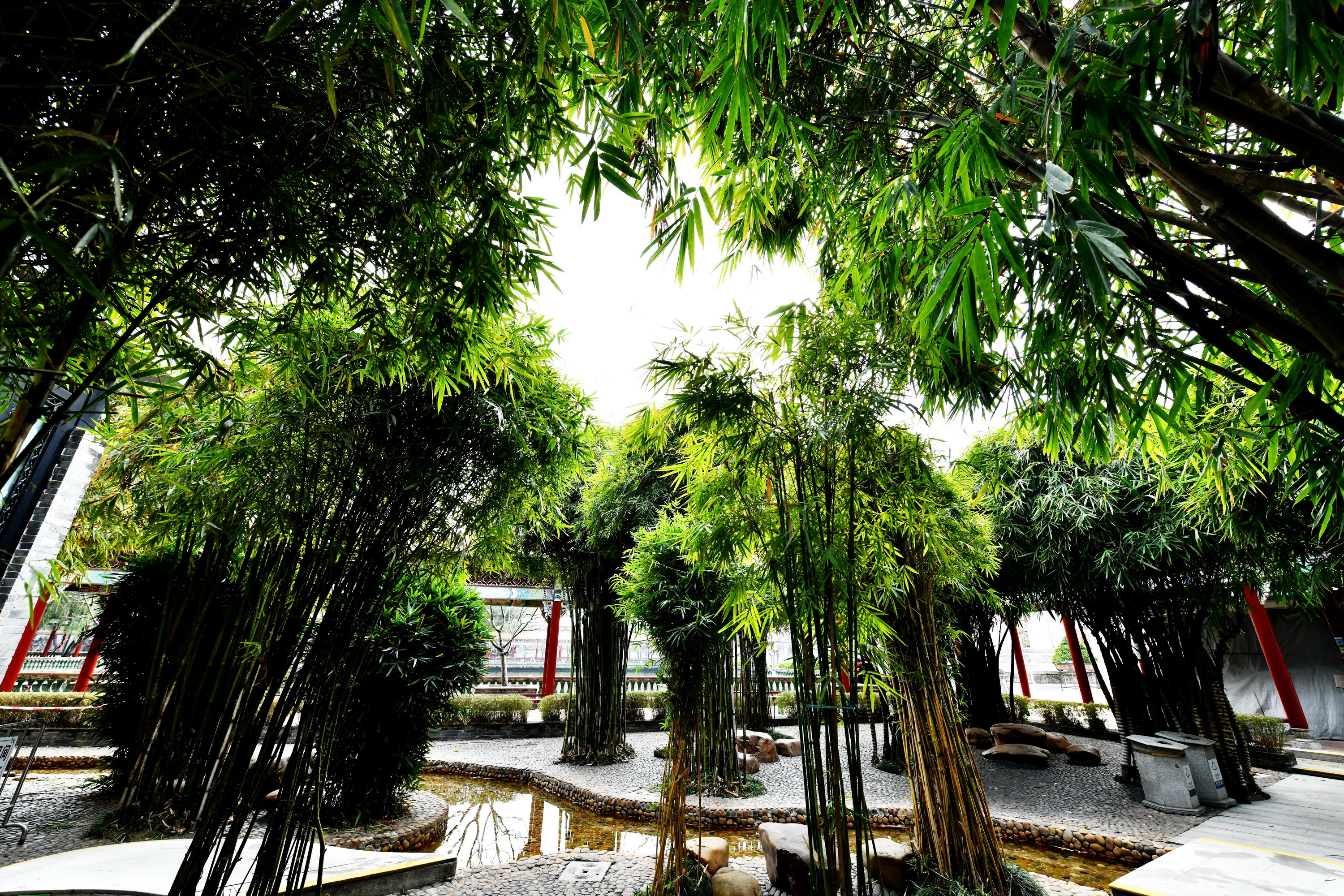 广州市番禺区宝墨园攻略,广州宝墨园景观