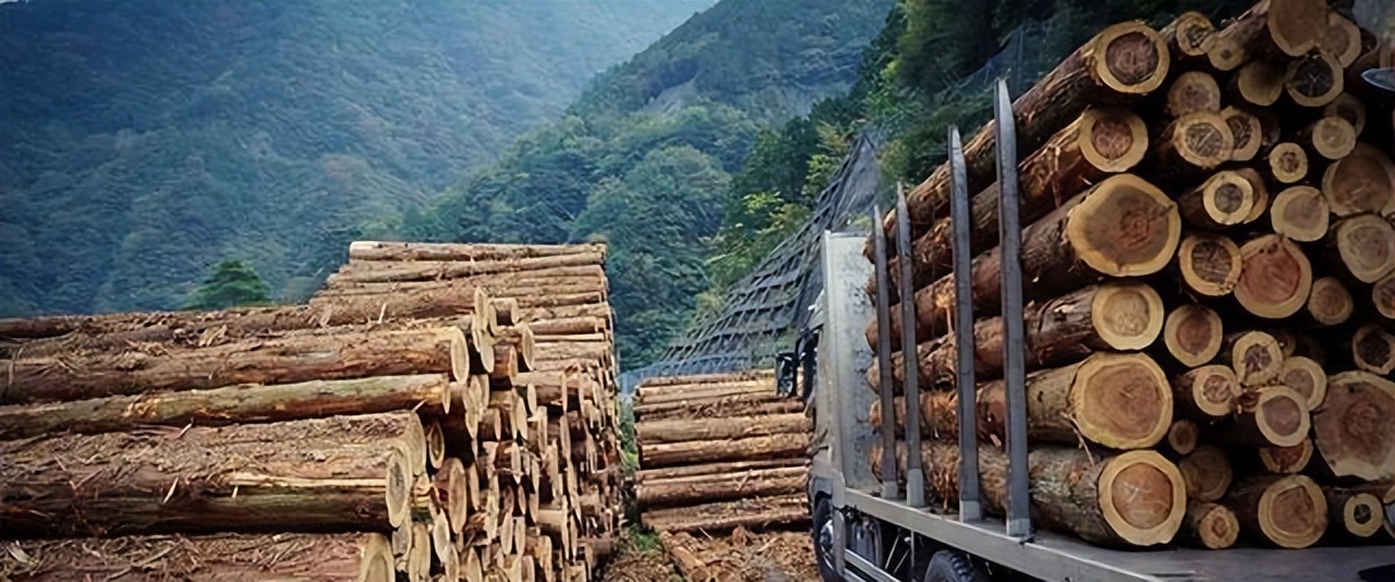 一战前英俄贸易关系,18世纪的中俄有什么关系