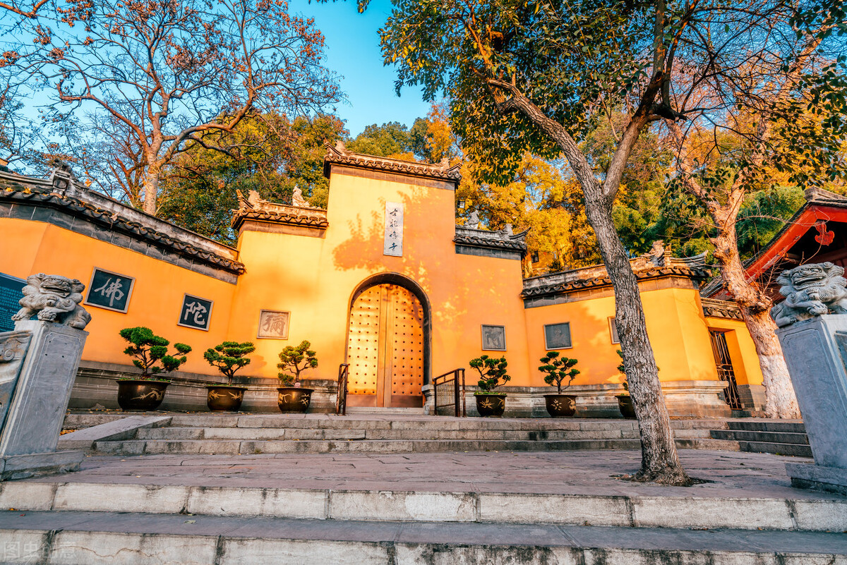 如何辨别伪劣食品小贴士,买到假冒伪劣食品怎么办