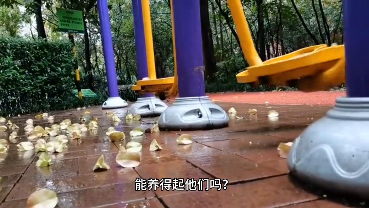 鍔ㄦ极鐢靛奖澶у叏鍏嶈垂,鍔ㄦ极鏂楃牬鑻嶇┕