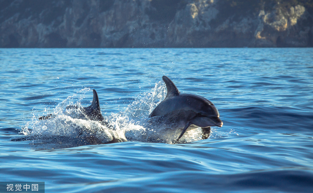 热点l膜法世家道歉了，背后的教训你值得研究