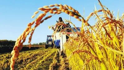 千亿级蓝海市场创富新机会,蓝海市场2020