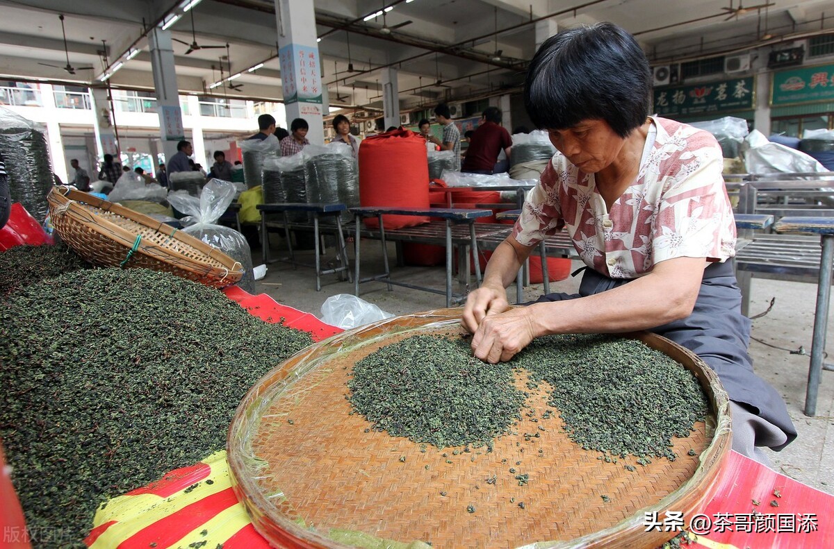 茶叶新手小白入门从什么茶叶开始,茶叶怎么从零开始学习