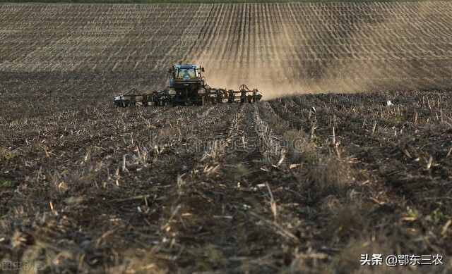 玉米播种最快的出苗方法,玉米播种深度
