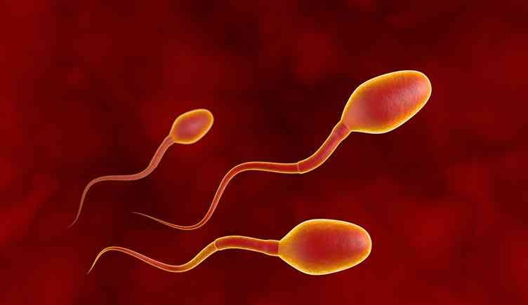 没有套套的时候，人类是如何花样避孕的？