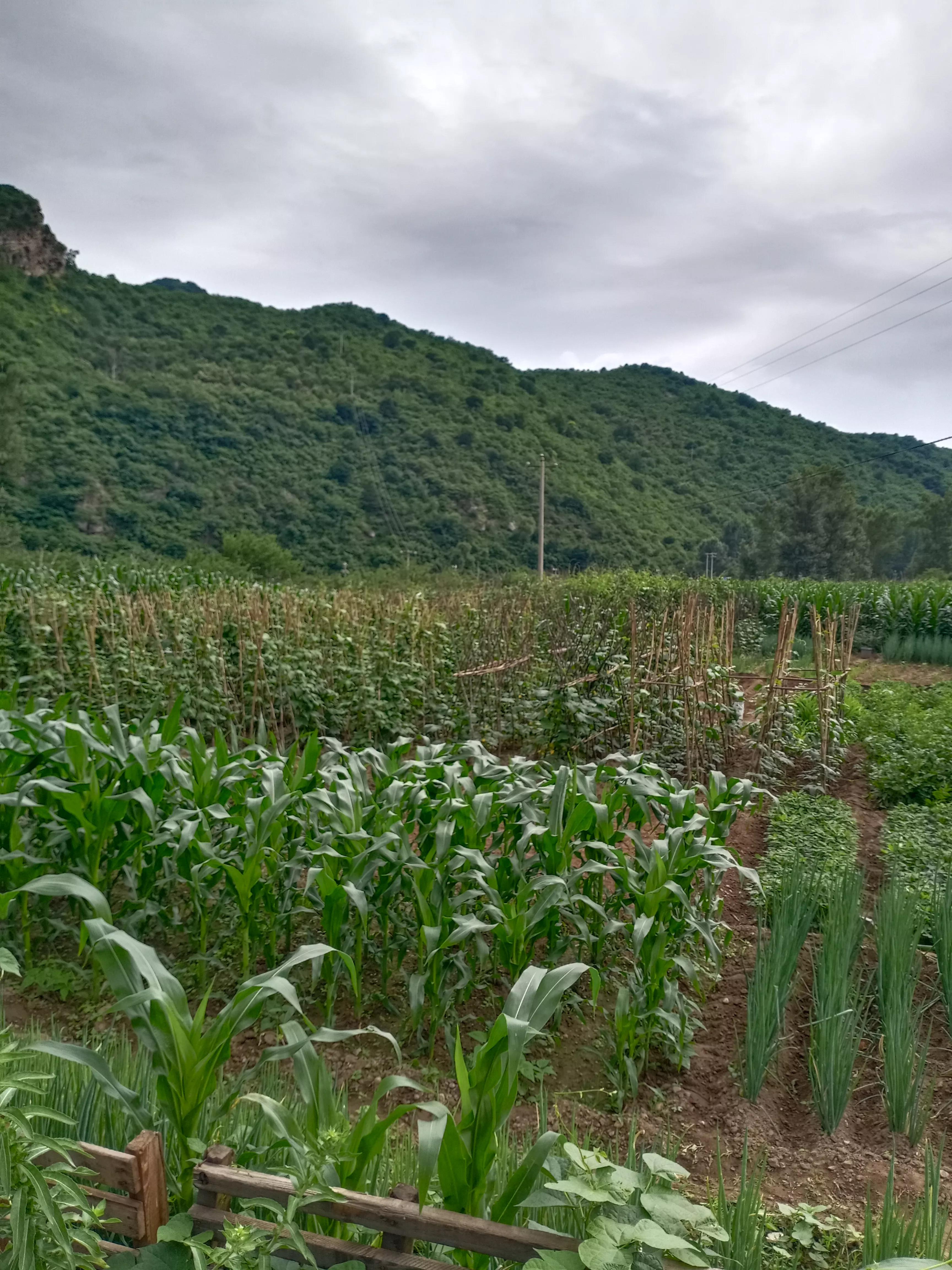 白河湾免费风景区,白河湾风景区露营基地