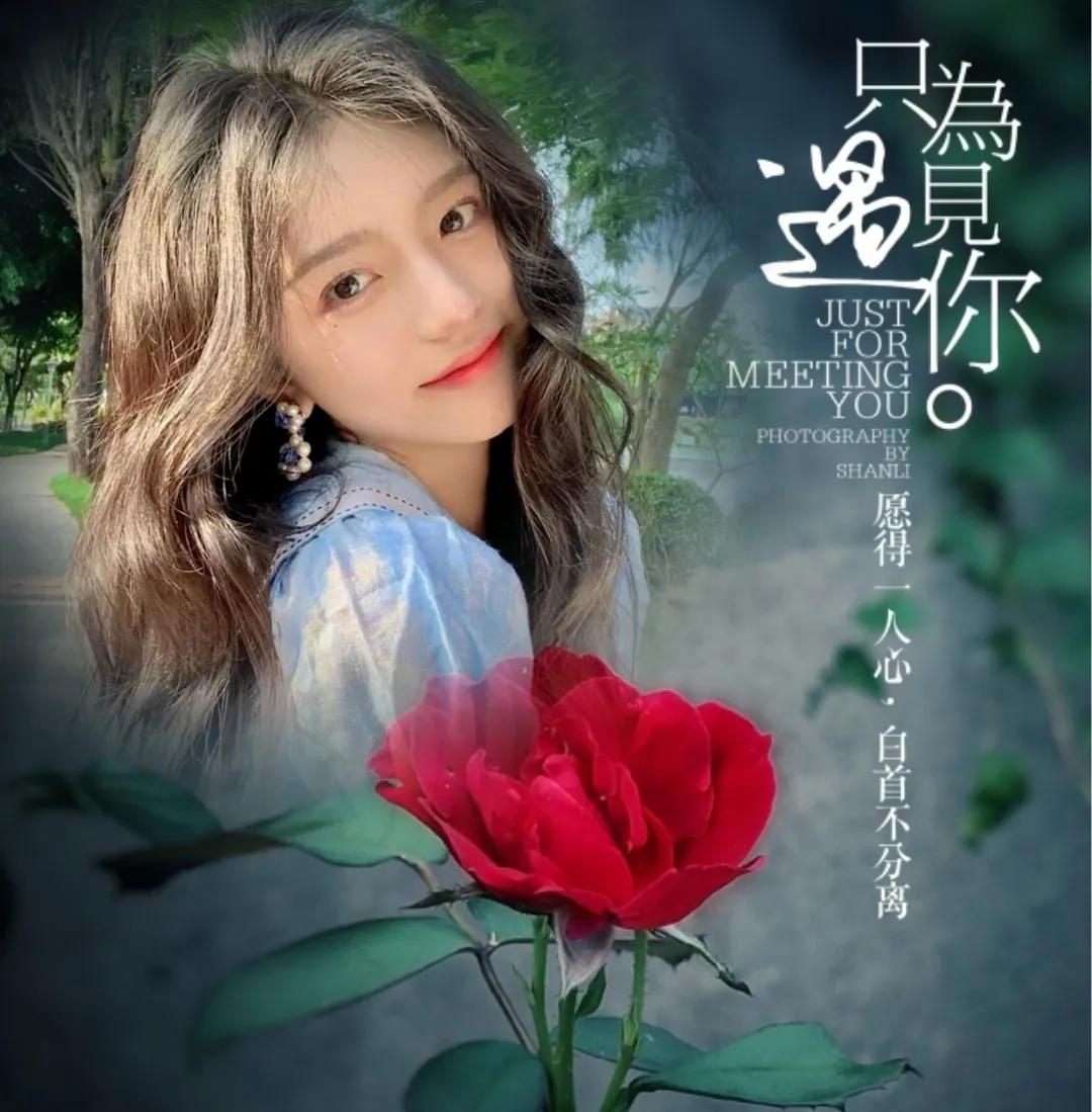 美到窒息的玫瑰花图,鲜花娇艳动人的图片