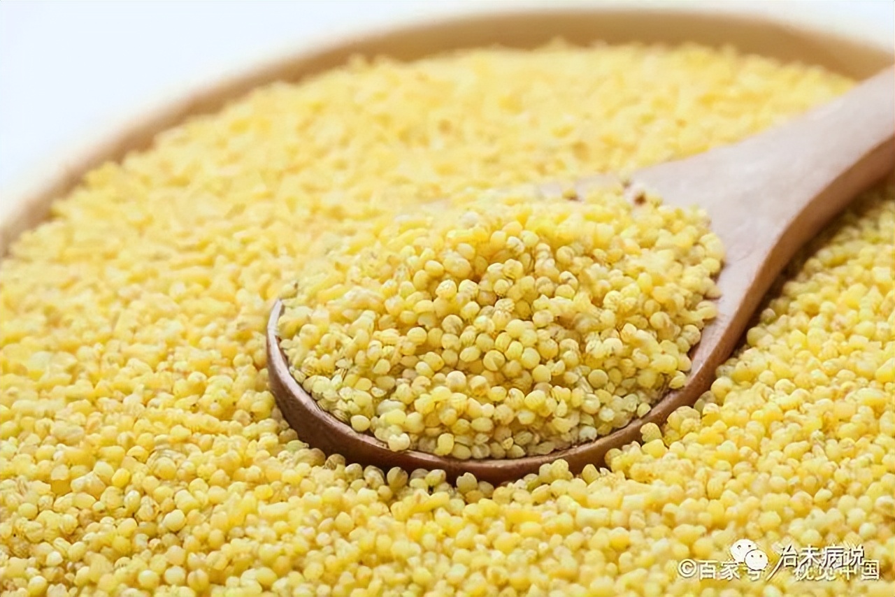 小米天天吃会长胖吗,小米天天吃有营养