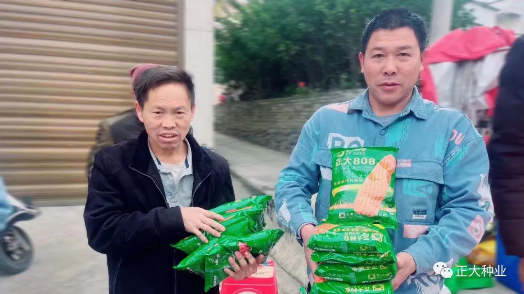 正大808是不是优良品种,正大808和正大769哪个品种更好