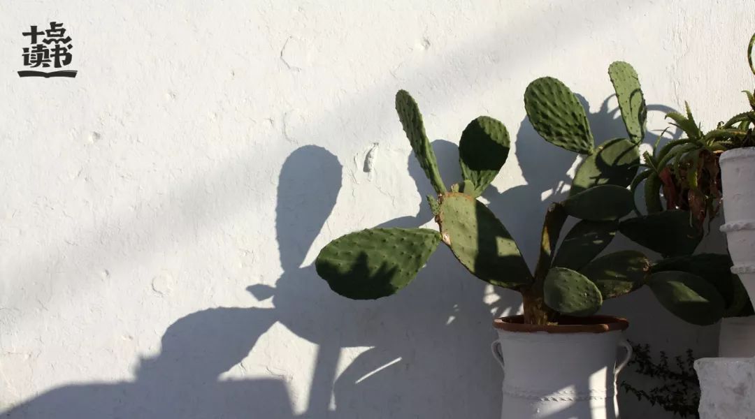 最好的家庭教育是妈妈说了算,最好的家庭教育小孩