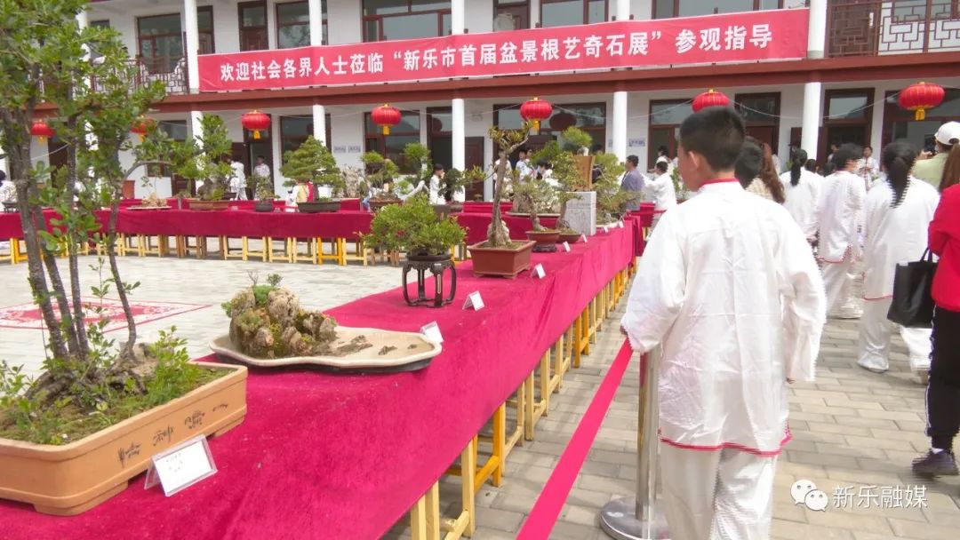 新乐寻根问祖,河北省新乐市东长寿学校详细地址