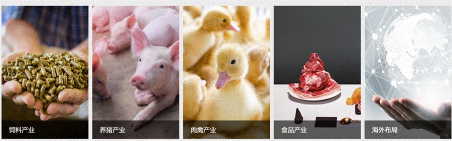 刘永好的新希望供应链金融棋局：与小米等建新网银行构建金融闭环