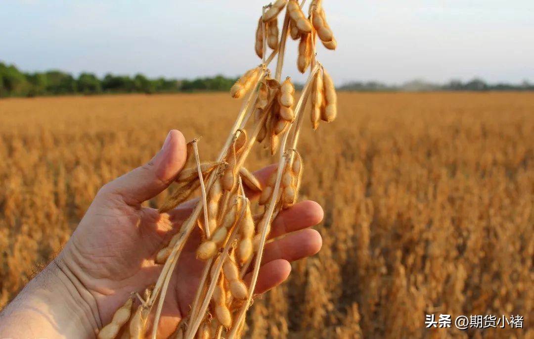 大豆涨价大豆企业库存如何,豆一期货价格受进口大豆影响吗