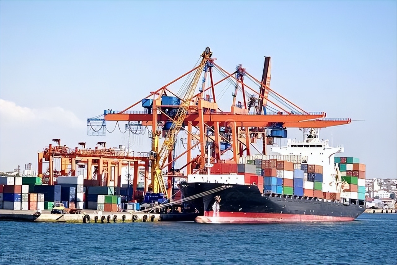 货代知识科普,货代知识视频