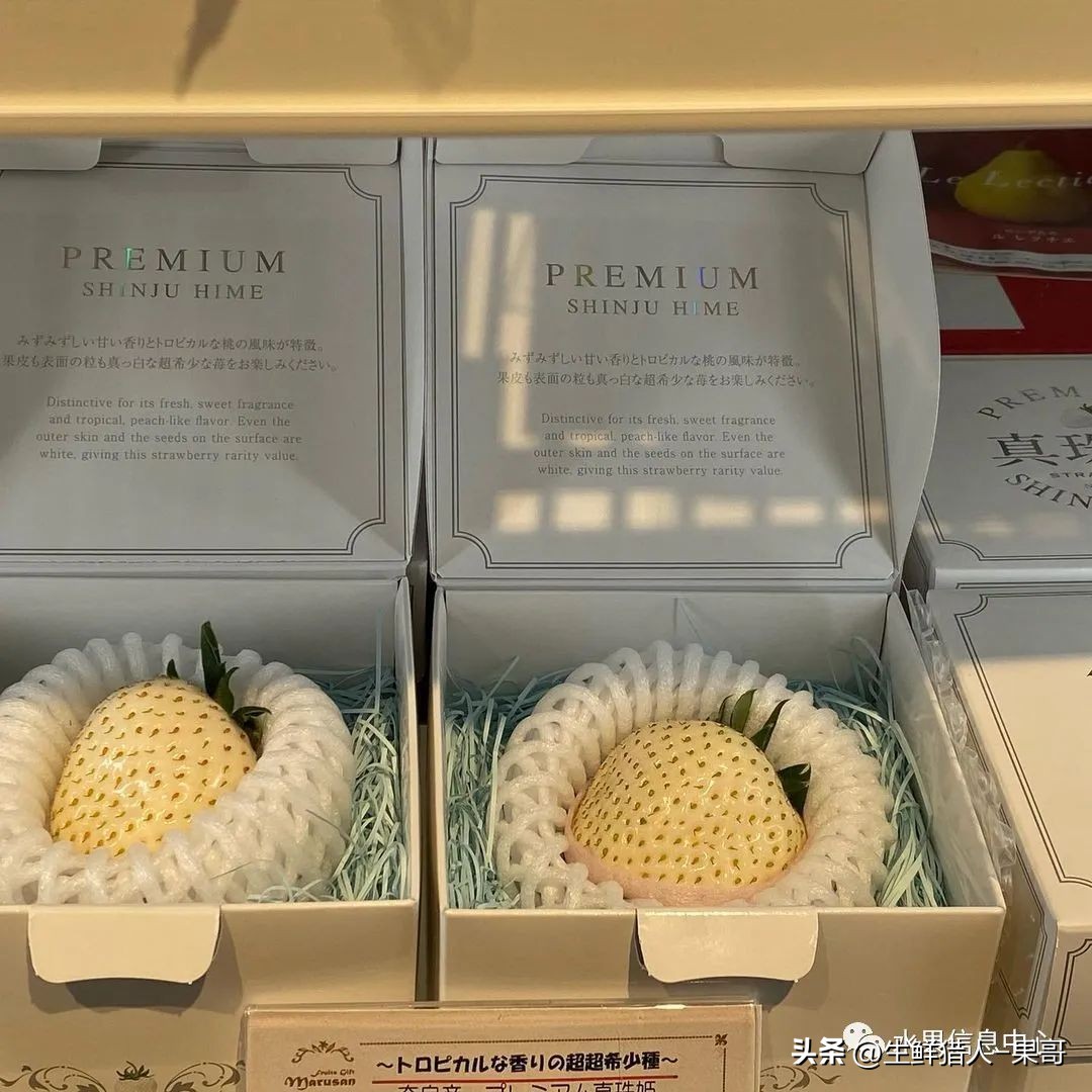 最好吃的白草莓品种前十名,好吃实惠的草莓品种有哪些