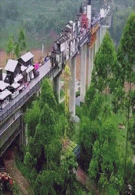 每日一笑游泳教学视频,每日一笑钓鱼片段